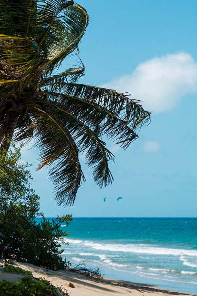 cabaretedominicanrepublic